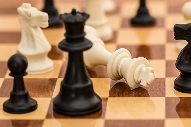 נישות תחרותיות- צילום שחמט המלך נפל